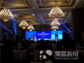 首届中国西部公共采购大会在蓉举行，聚焦会议及展览服务新机遇